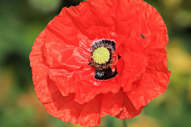 政府重拳出擊，十八款軟件被禁，筑牢網(wǎng)絡(luò)安全防線，守護(hù)個(gè)人信息安全